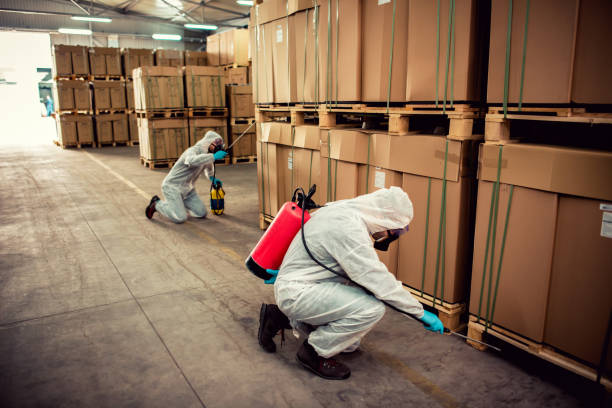 Best Local Pest Control Services  in Akron, PA
