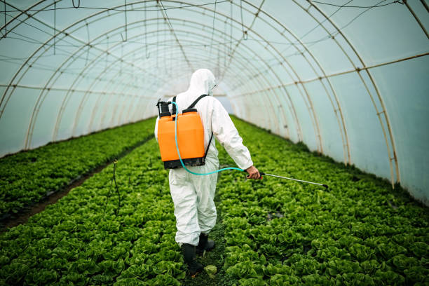 Best Pest Control Treatment  in Akron, PA