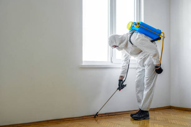 Best Best Pest Control Companies  in Akron, PA