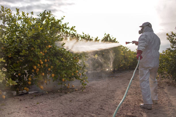 Best Affordable Pest Control Services  in Akron, PA