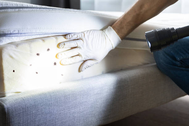 Best Affordable Exterminators  in Akron, PA
