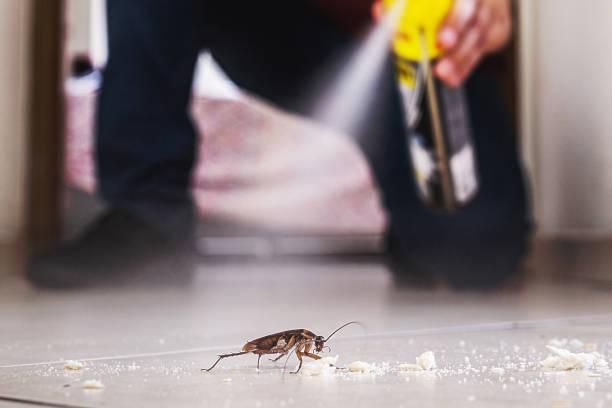 Pest Control Cost in Akron, PA