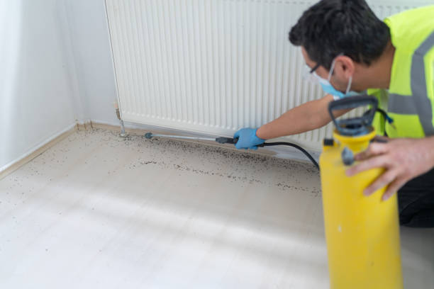 Best Pest Inspection Near Me  in Akron, PA